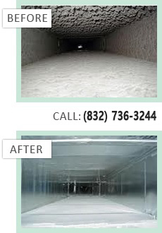 professional cleaning services